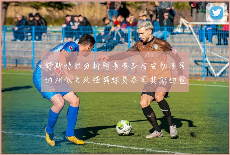 舒斯特尔分析阿韦洛亚与安切洛蒂的相似之处强调球员各司其职的重要性