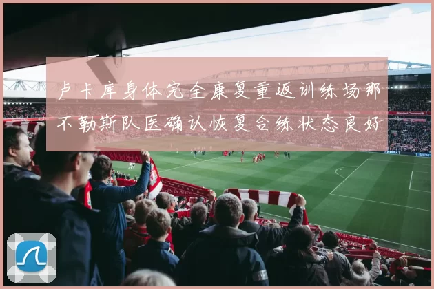 卢卡库身体完全康复重返训练场那不勒斯队医确认恢复合练状态良好