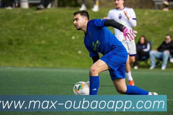 欧宝体育APP 体育赛事宣传图